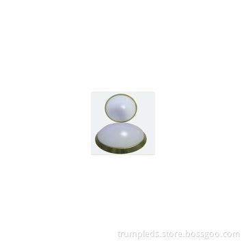 ideal for house lighting LED warm white LED Ceiling Light